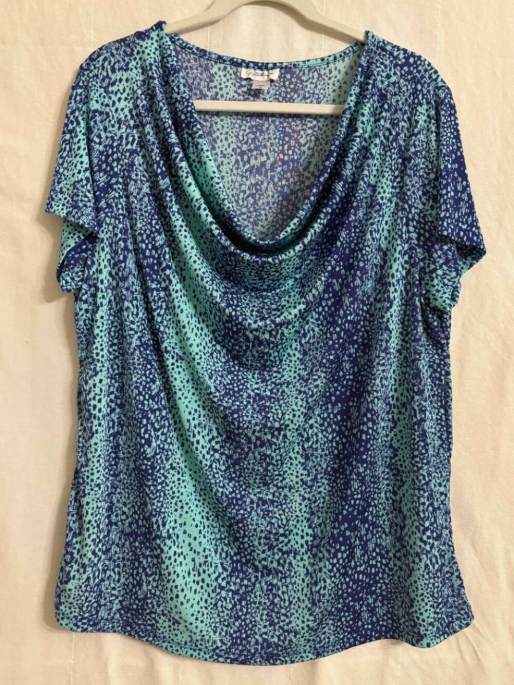 Cowl Neck Short Sleeved Blouse